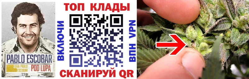 Магазины продажи наркотиков Михайлов Cocaine Меф Псилоцибиновые грибы Конопля Alpha PVP
