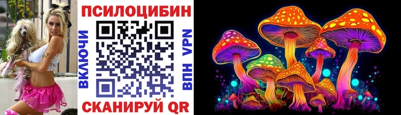 Псилоцибиновые грибы Psilocybe  мега рабочий сайт  Михайлов  как найти  